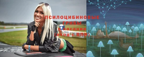 бошки Алексеевка