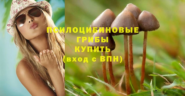 бошки Алексеевка