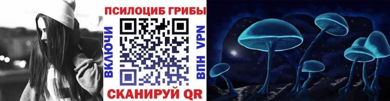 Псилоцибиновые грибы мухоморы  Купить закладки  Жуков 